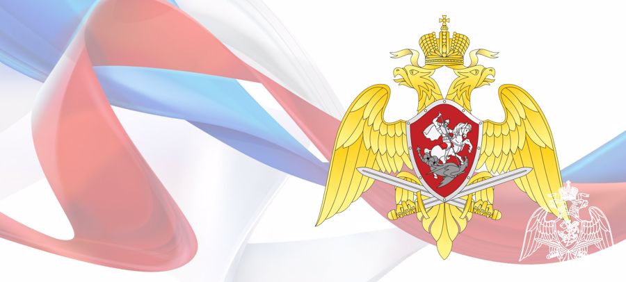 В Прикамье сотрудники Росгвардии и ГИБДД провели мероприятия по профилактике дорожно-транспортных происшествий