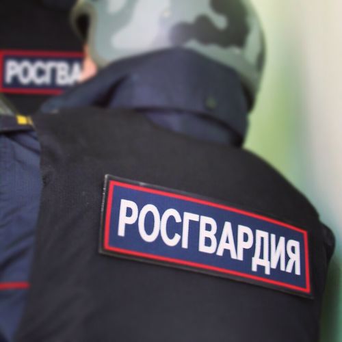 В Перми сотрудники Росгвардии задержали гражданку, подозреваемую в магазинной краже