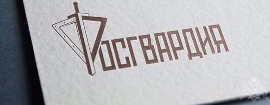 За прошедшую неделю сотрудники вневедомственной охраны Росгвардии по Пермскому краю 410 раз выезжали на охраняемые объекты