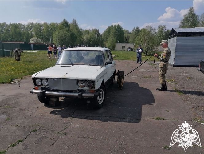 Курсанты кинологического факультета приняли участие в межвузовской олимпиаде по дрессировке служебных собак «Лучший в дрессировке»