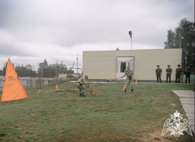 В Пермском военном институте Росгвардии специалисты провели отбор щенков 