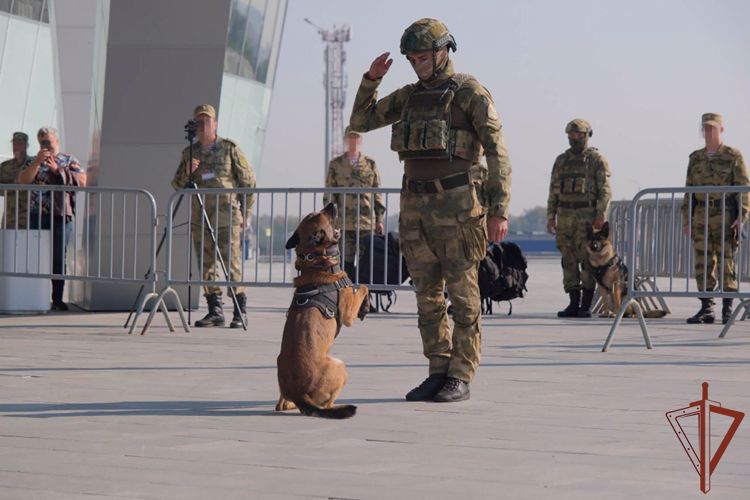 В преддверии Дня оружейника выставки вооружения и военной техники Росгвардии проходят по всей стране