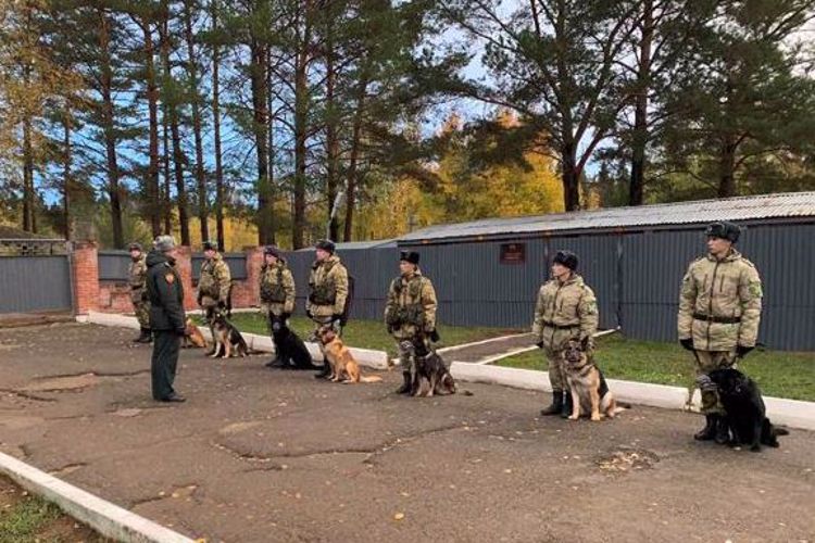 В Пермском военном институте Росгвардии состоялись учебно-методические сборы со специалистами-кинологами 