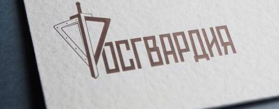 В Перми военнослужащий Росгвардии стал участником проекта "Семейные субботы"