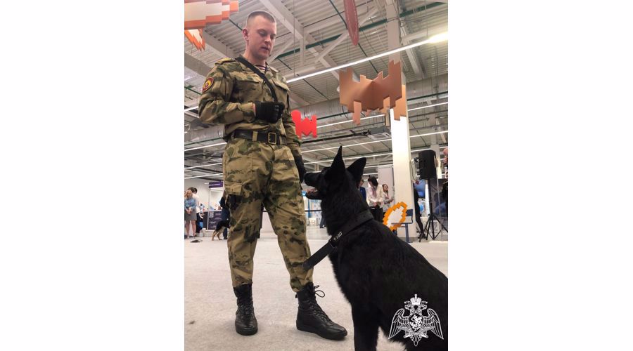 В Перми военнослужащие Росгвардии приняли участие в выставке-форуме «Образование и карьера»