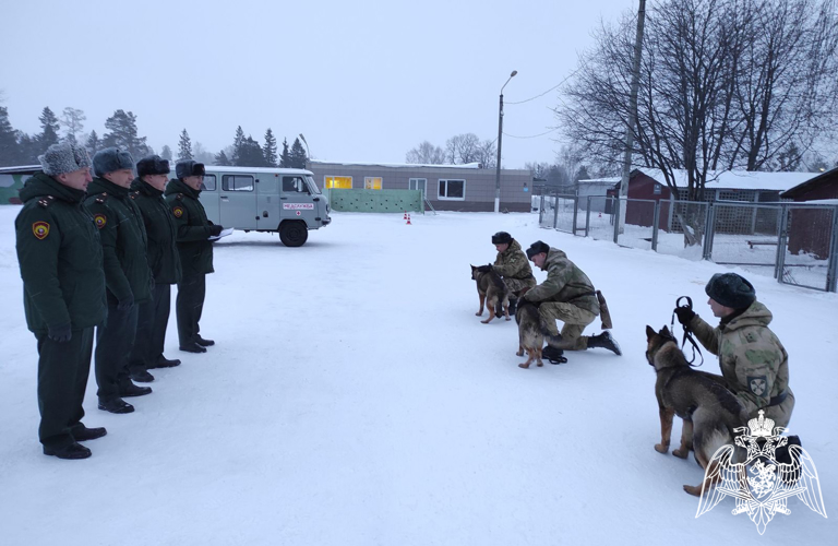 В Пермском военном институте Росгвардии протестировали щенков 