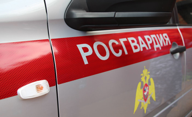 За прошедшую неделю сотрудники вневедомственной охраны Росгвардии по Пермскому краю 299 раз выезжали на охраняемые объекты