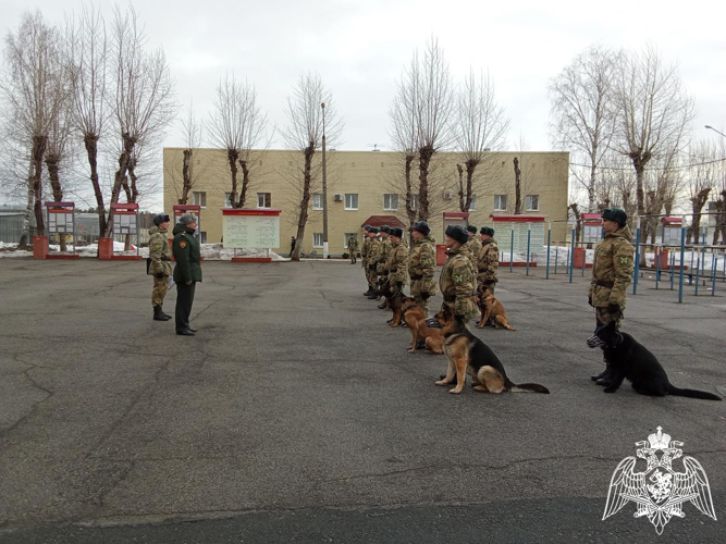 В Пермском военном институте Росгвардии состоялись учебно-методические сборы со специалистами-кинологами