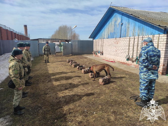 В Пермском военном институте Росгвардии состоялись учебно-методические сборы со специалистами-кинологами