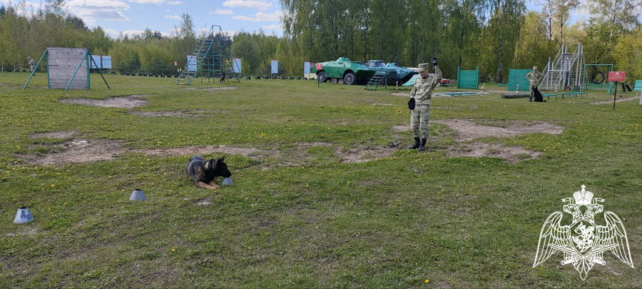 Военнослужащие Пермского военного института Росгвардии приняли участие в совместных учебно-методических сборах со специалистами-кинологами 