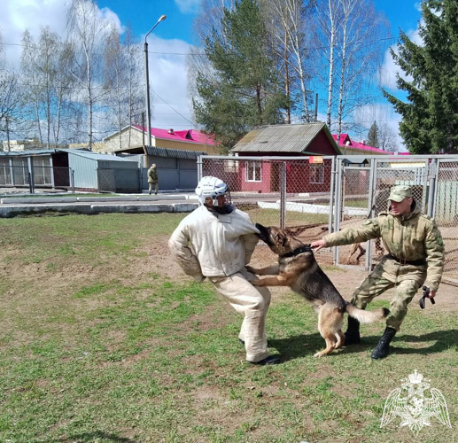В Пермском военном институте Росгвардии проведены совместные занятия с курсантами Пермского института ФСИН России