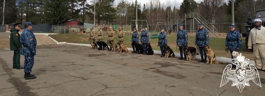 В Пермском военном институте Росгвардии проведены совместные занятия с курсантами Пермского института ФСИН России