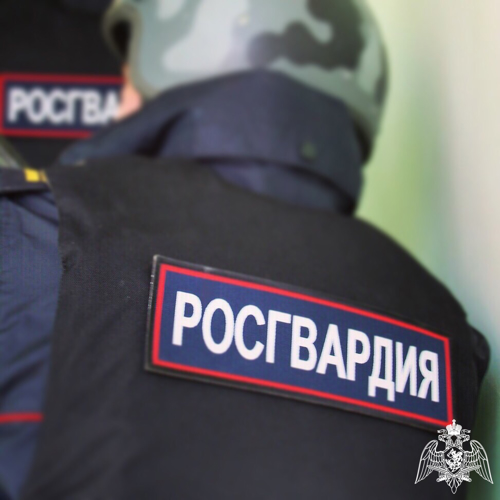 За минувшую неделю сотрудники Росгвардии пермского края задержали 16 человек, находящихся в федеральном розыске