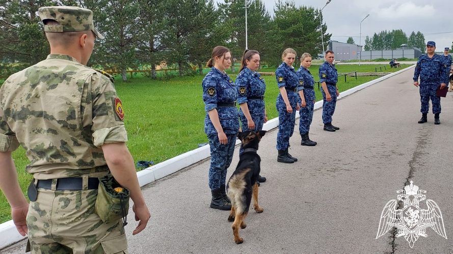 Курсанты Пермского военного института Росгвардии приняли участие в межведомственной олимпиаде по дрессировке служебных собак