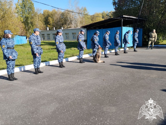 В Пермском военном институте Росгвардии состоялись учебно-методические сборы со специалистами-кинологами