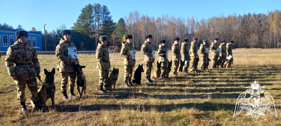 Курсанты Пермского военного института Росгвардии приняли участие в городских соревнованиях по кинологическому спорту