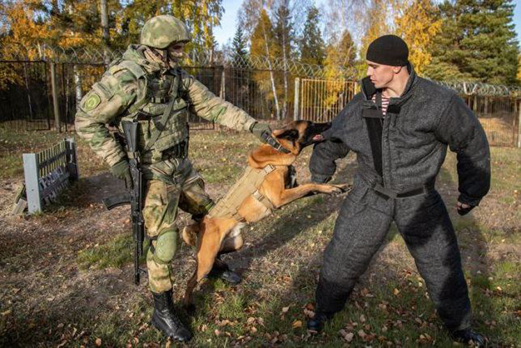 Делегация из Казахстана посетила Пермский военный институт Росгвардии