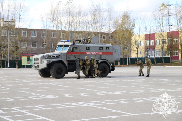 В Перми прошел фестиваль военно-патриотического движения «Гвардейская смена»