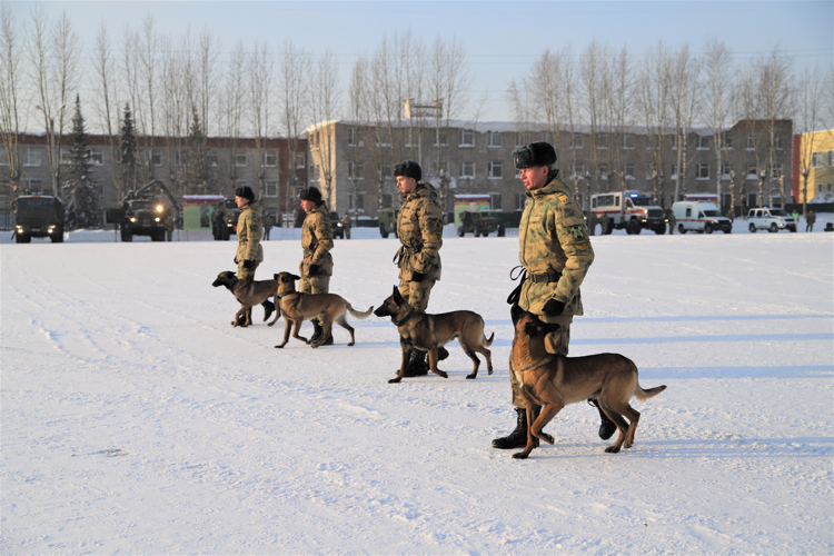 В Пермском военном институте Росгвардии состоялось первое выездное заседание Совета ректоров вузов Пермского края.