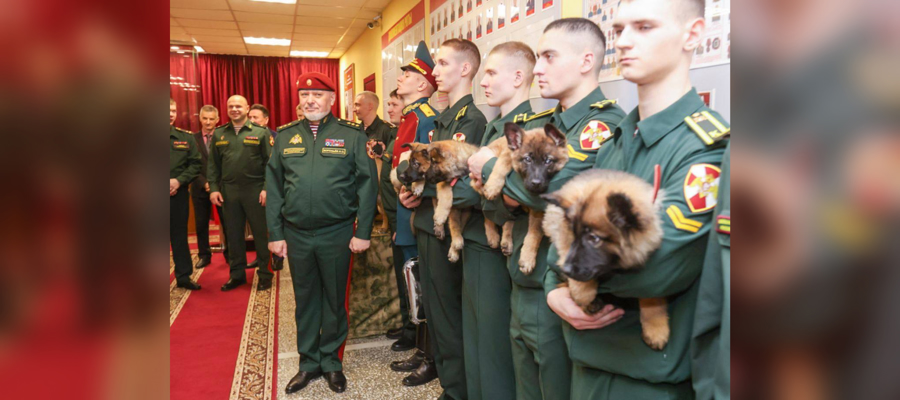 В Пермском военном институте Росгвардии впервые прошла торжественная церемония вручения щенков курсантам-кинологам