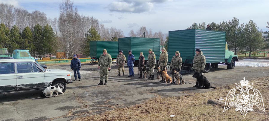В Пермском военном институте Росгвардии прошел учебно-методический сбор со специалистами-кинологами 