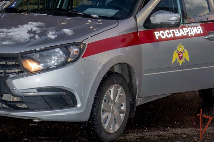 В Пермском крае сотрудники Росгвардии оперативно задержали правонарушителя на территории школы