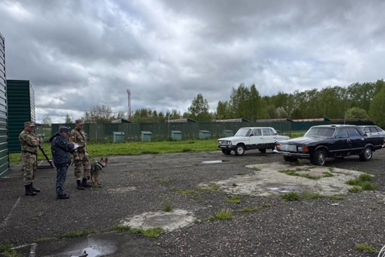 Курсанты Пермского военного института Росгвардии приняли участие в межведомственной олимпиаде по дрессировке служебных собак