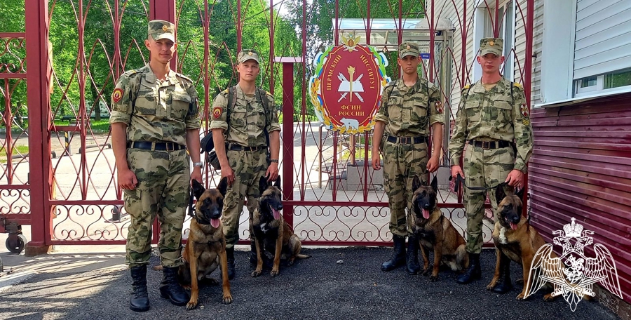 Курсанты Пермского военного института Росгвардии приняли участие в межведомственной олимпиаде по дрессировке служебных собак