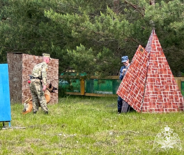 Курсанты Пермского военного института Росгвардии приняли участие в межведомственной олимпиаде по дрессировке служебных собак