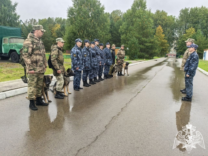 В Пермском военном институте Росгвардии прошли учебно-методические сборы с кинологами учебного комплекса 