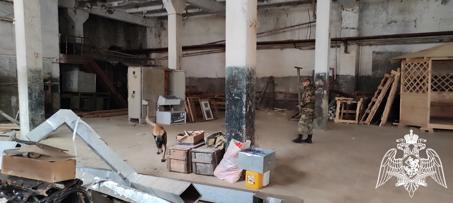 В Пермском военном институте Росгвардии прошли учебно-методические сборы с кинологами учебного комплекса 