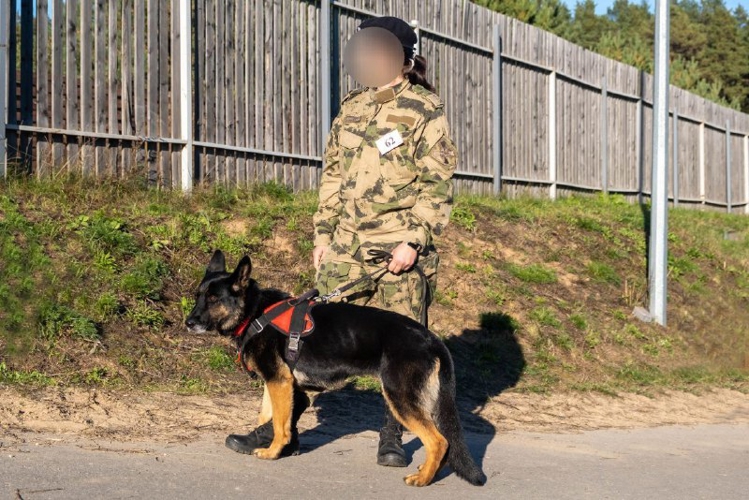 Сотрудник ОМОН "Варыш" завоевала первое место на всероссийских соревнованиях по многоборью кинологов