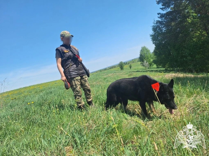 В Перми прошли сборы кинологов