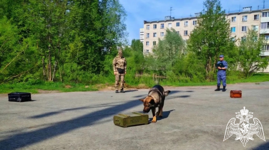 В Перми прошли сборы кинологов