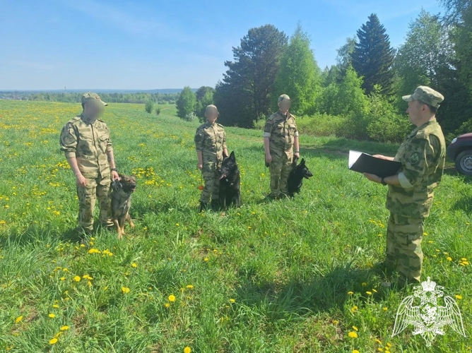В Перми прошли сборы кинологов