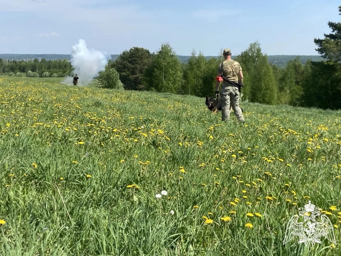 В Перми прошли сборы кинологов