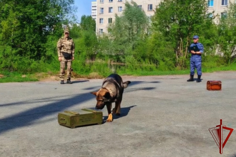 Кинологи Росгвардии отмечают 117-летие службы